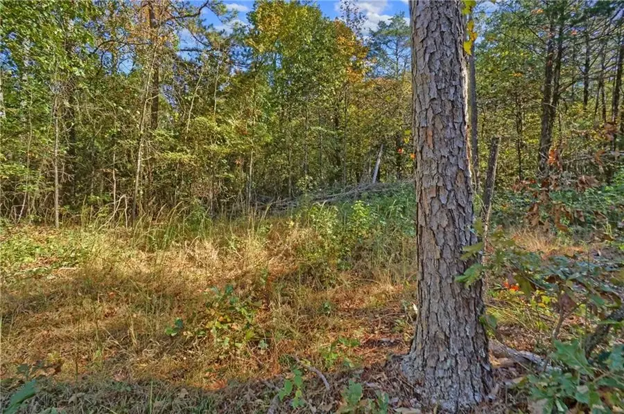 Lot 6 Melvin Lane, Dover, AR 72837 - Image #3