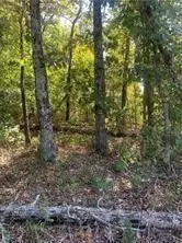 Letchworth Drive, Bella Vista, AR 72714