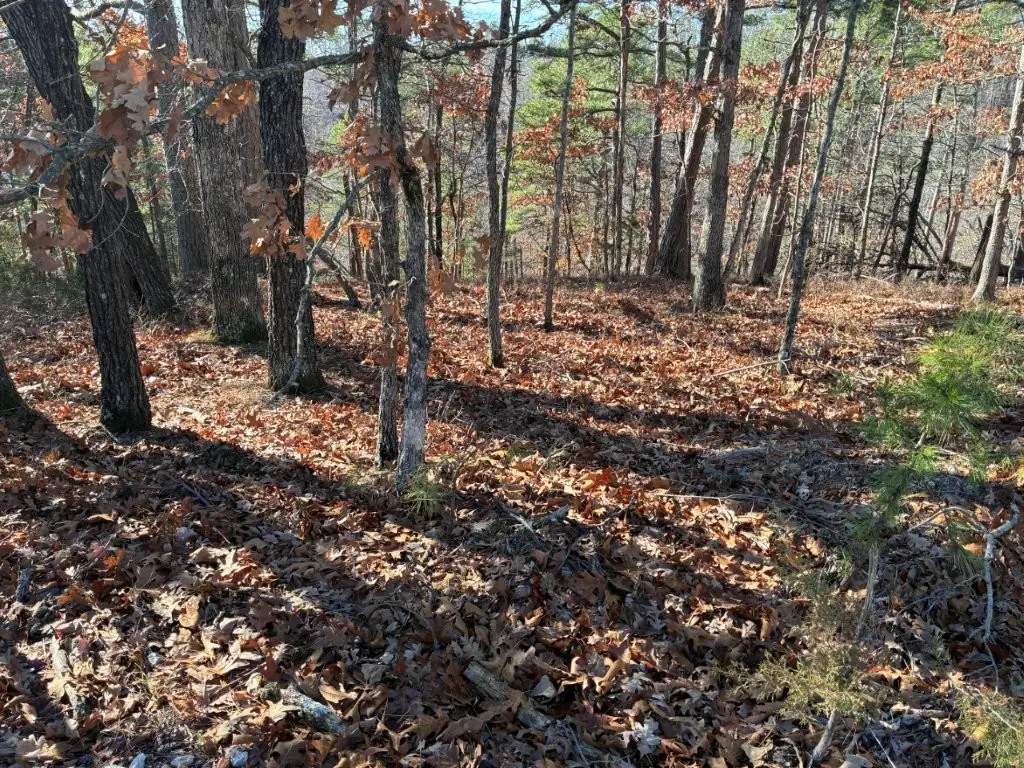 Lot 160 Tanglewood Road, Rogers, AR 72756 - Image #1