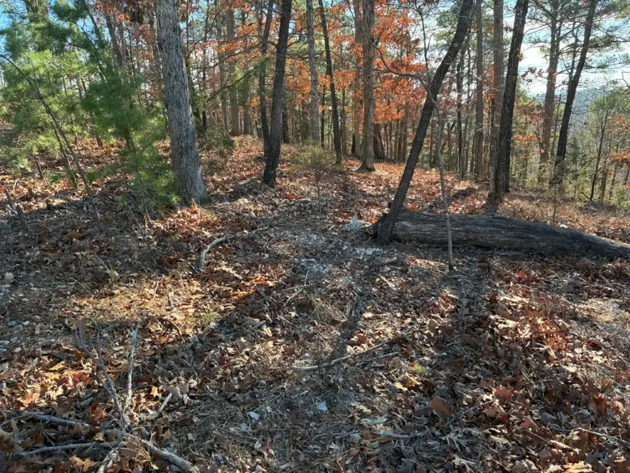 Lot 160 Tanglewood Road, Rogers, AR 72756 - Image #3