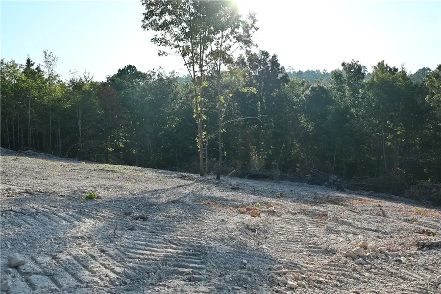 3875 Tomahawk Slab Road, Saint Joe, AR 72675 - Image #3