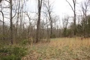 Lot 24 Dogwood Drive, Omaha, AR 72662