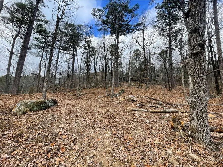 40.12 Acres Landlock Road, Marshall, AR 72650 - Image #2