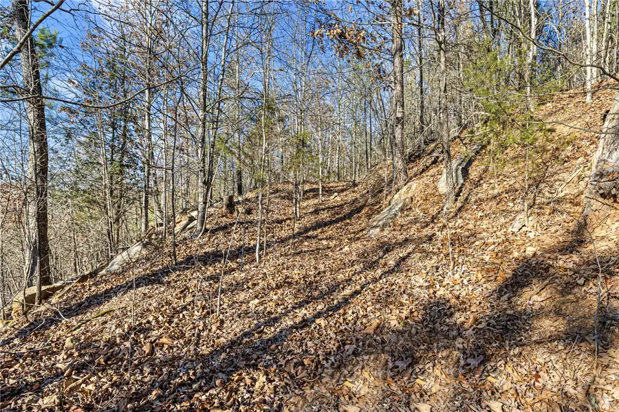 80 acres off of Sr 164 W, Dover, AR 72837 - Image #3