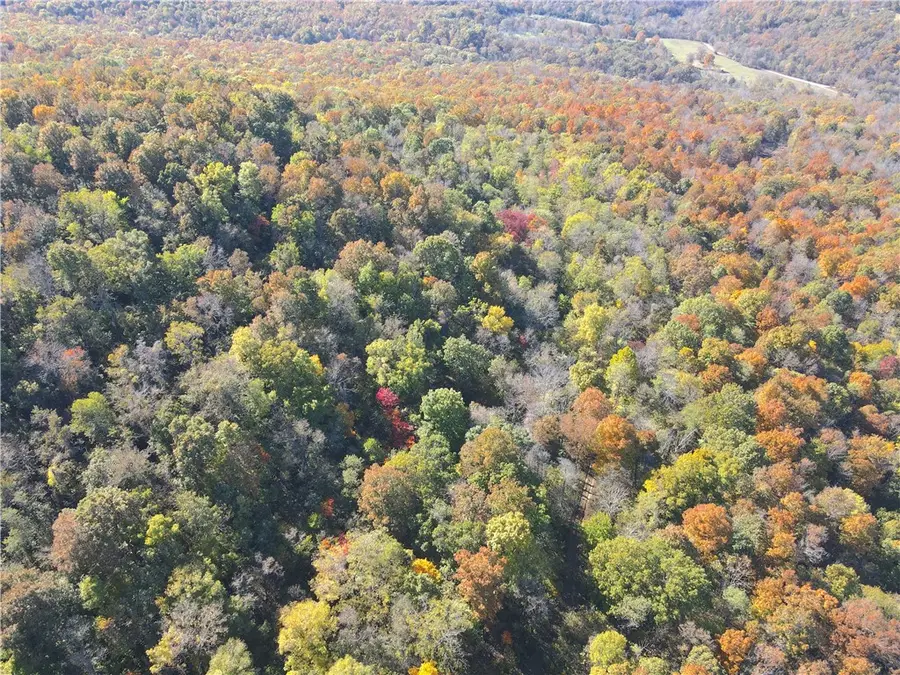 8451 Us-412, Osage, AR 72638 - Image #2