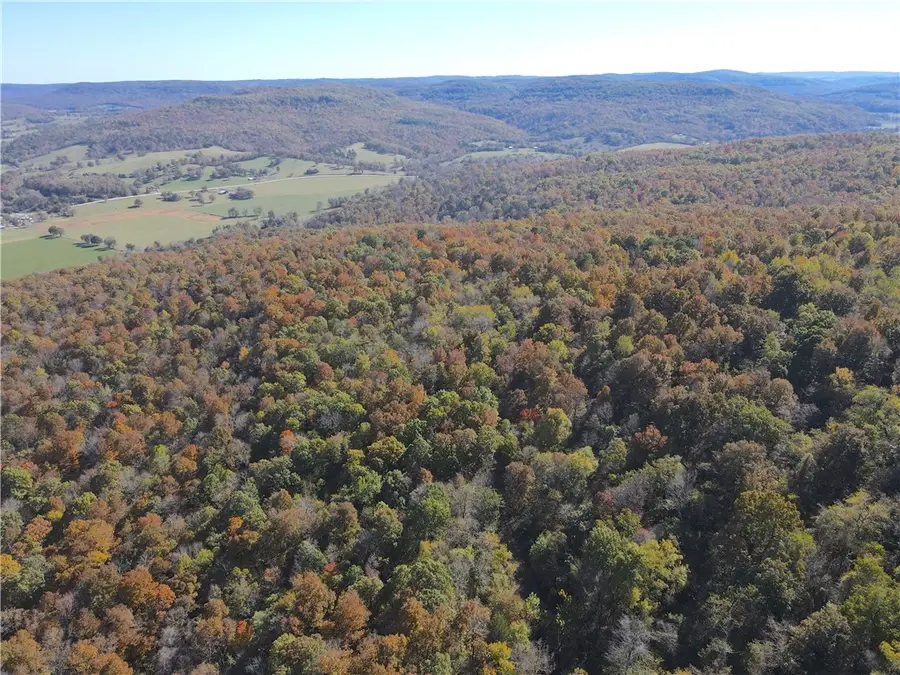 8451 Us-412, Osage, AR 72638 - Image #3