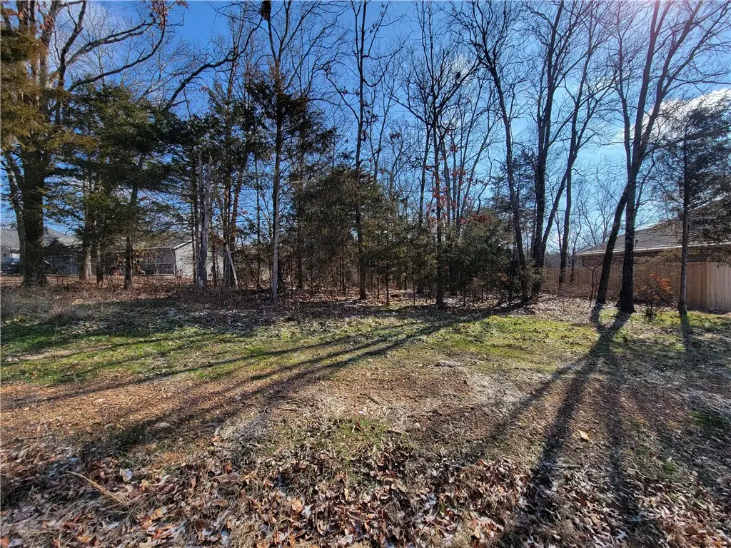 Lot11 Holcombe Lane, Bella Vista, AR 72714 - Image #1