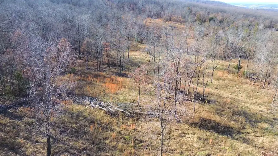 3233 Madison 7325, Hindsville, AR 72738 - Image #3