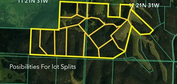 Neon Sky Drive, Pineville, MO 64856