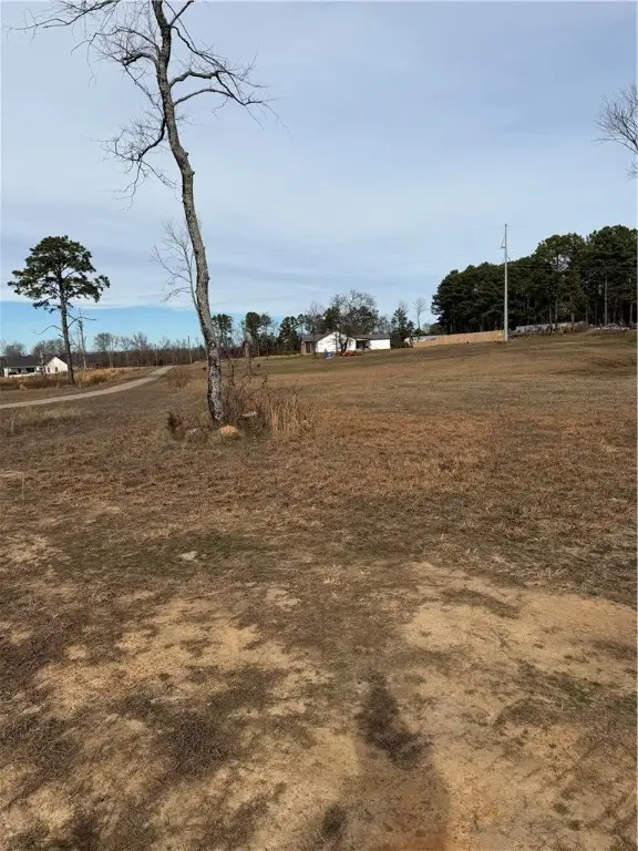 Jolea Beth Loop, Dover, AR 72837 - #2