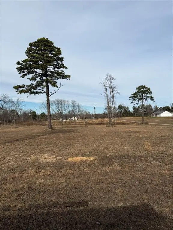 265 Jolea Beth Loop, Dover, AR 72837 - #2