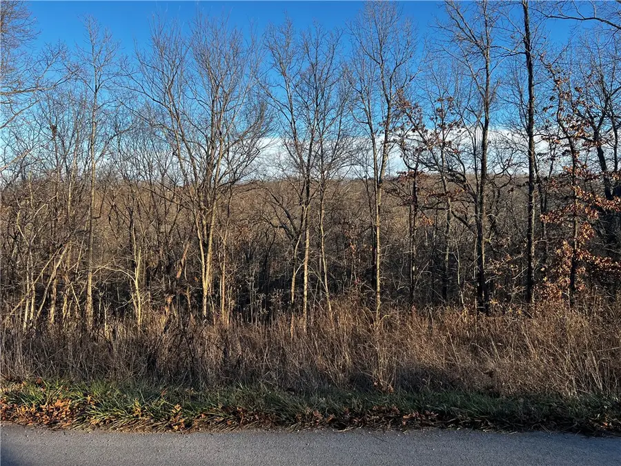 Selkirk Drive, Bella Vista, AR 72715 - Image #3