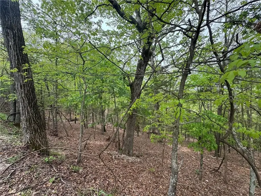 L75 W Airport Drive, Garfield, AR 72732 - Image #2