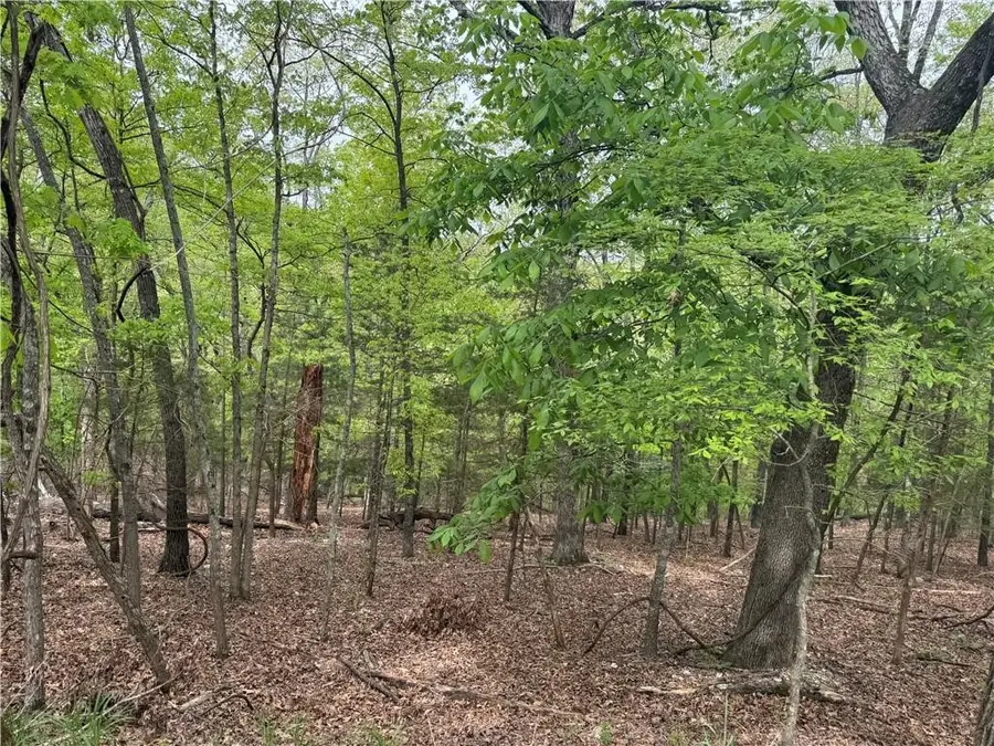 L75 W Airport Drive, Garfield, AR 72732 - Image #3