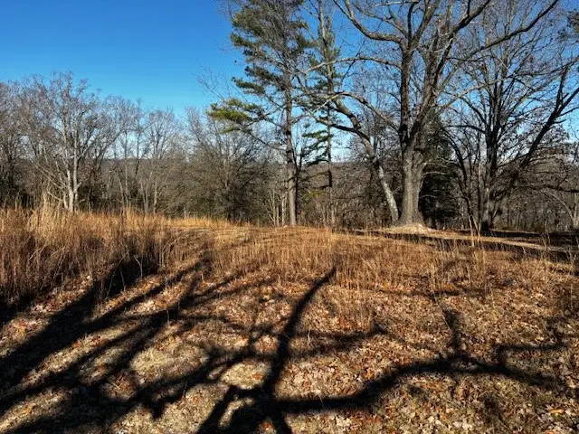 19244 Eagle Point Road, Garfield, AR 72732 - Image #3