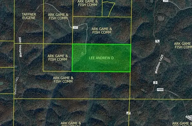 1878 Madison 1405, Huntsville, AR 72740 - #2