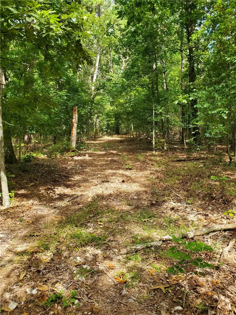000 Highway H, Noel, MO 64854 - #2