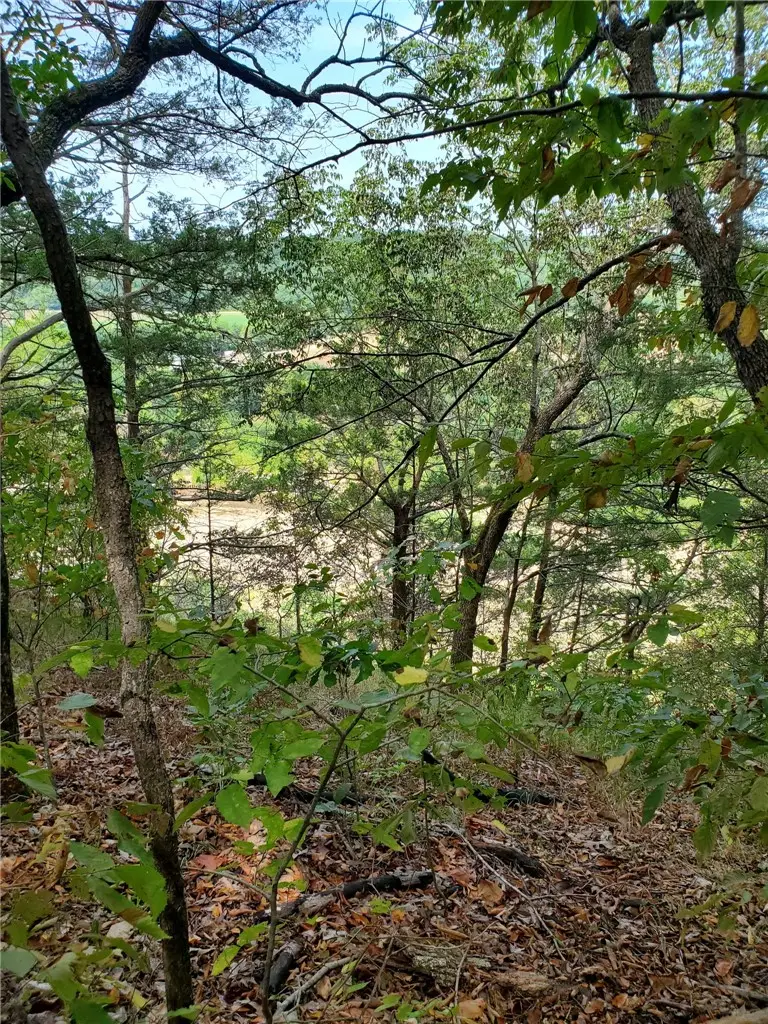 000 Highway H, Noel, MO 64854 - #3