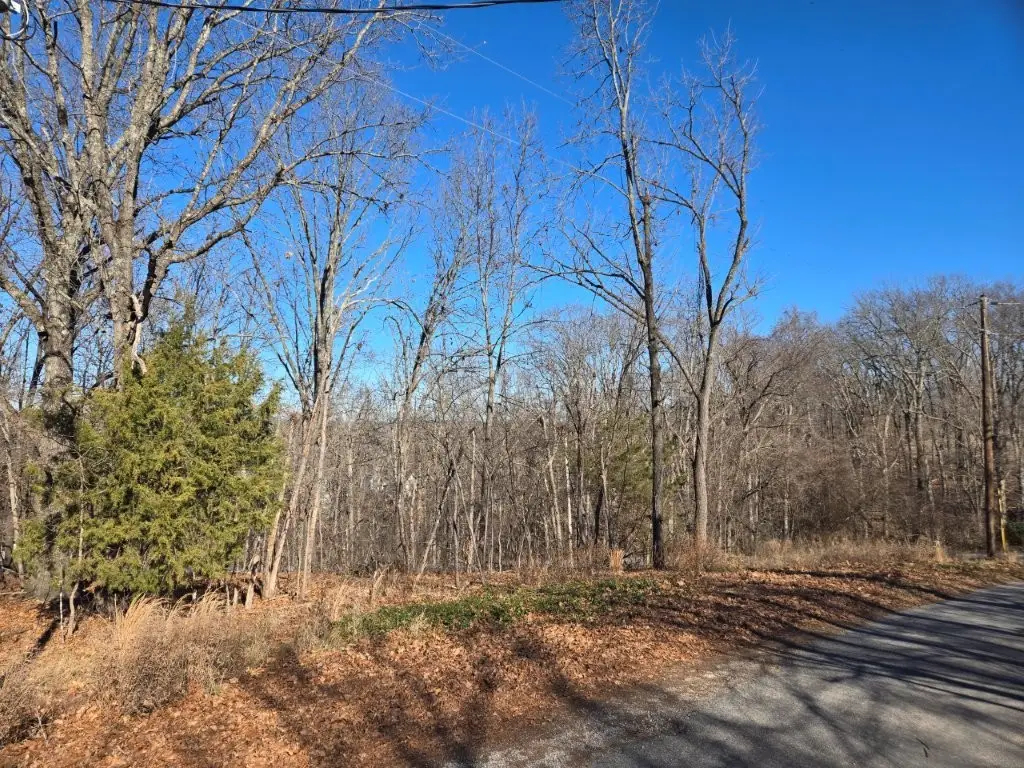 Lot 19 Pimlico Drive, Bella Vista, AR 72715 - Image #1
