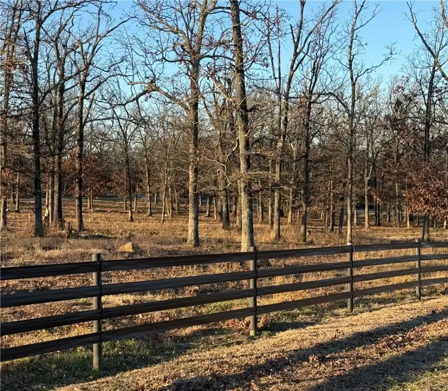 3.4 AC S Wedington Blacktop Road, Lincoln, AR 72744 - Image #2