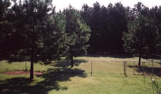 410 Ellis Road, Pottsville, AR 72858 - Image #2