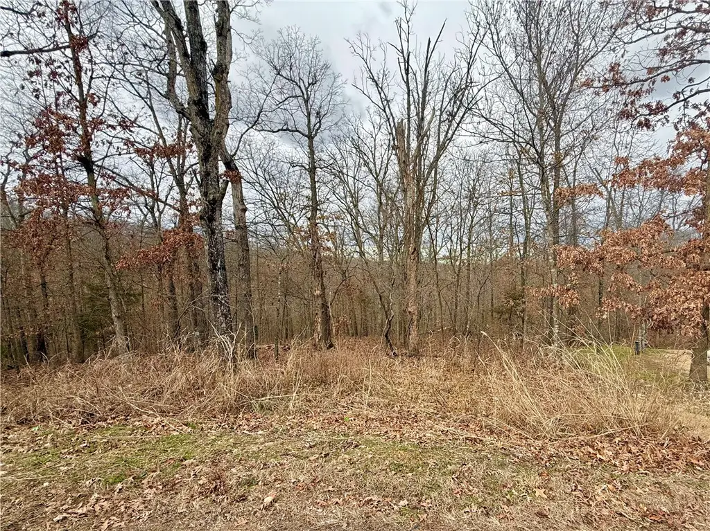 Sutherland Lane, Bella Vista, AR 72714 - Image #1