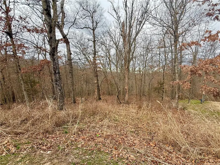 Sutherland Lane, Bella Vista, AR 72714 - Image #3