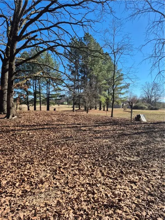 11291 N State Highway 309, Havana, AR 72842 - Image #3