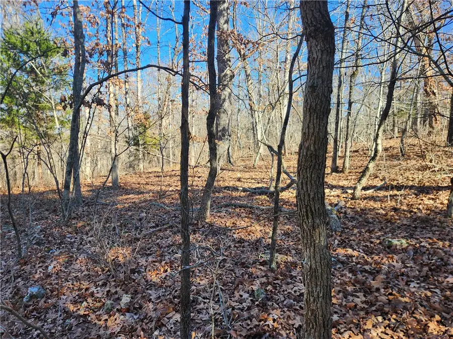 Cress Lane, Bella Vista, AR 72714 - Image #2