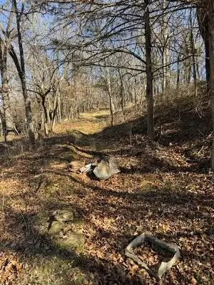 4085 Business Highway 412, Huntsville, AR 72740