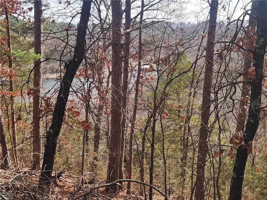 Huckleberry Hills Road, Rogers, AR 72756 - #2