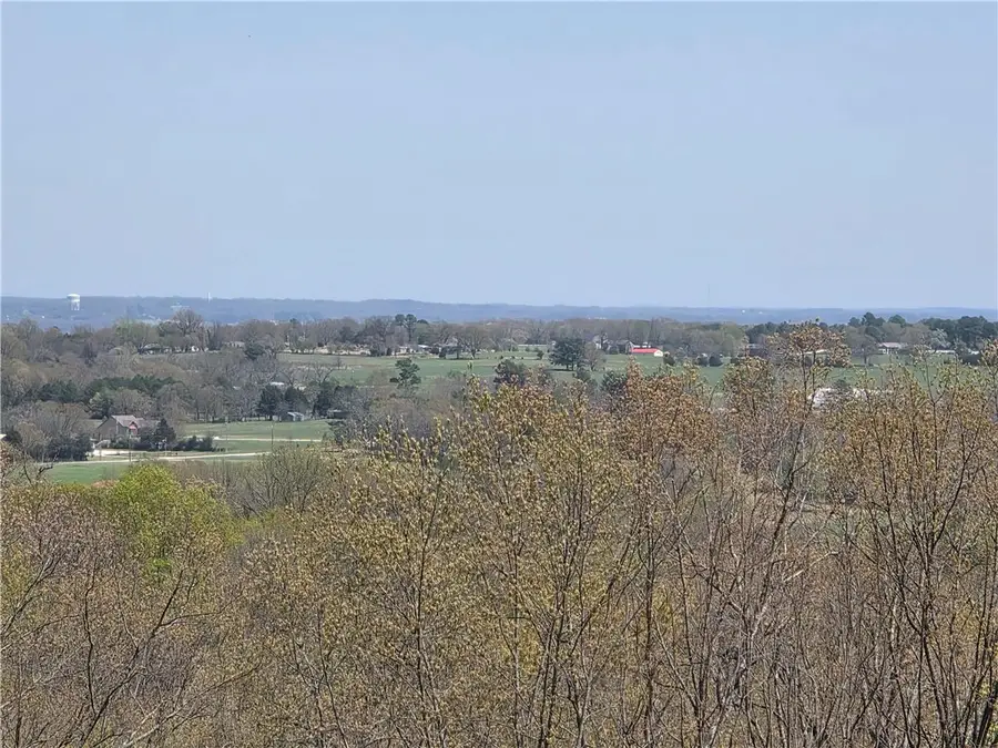 6945 Hillside Lane, Harrison, AR 72601 - #3