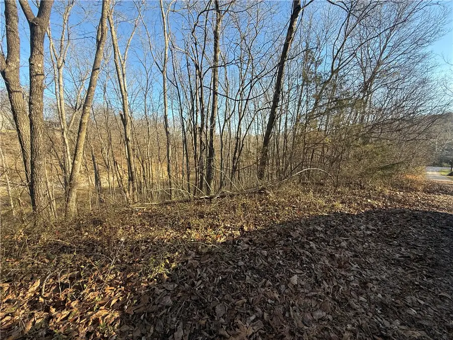 Lot 4 of Block 2 Belgravia Drive, Bella Vista, AR 72715 - Image #3