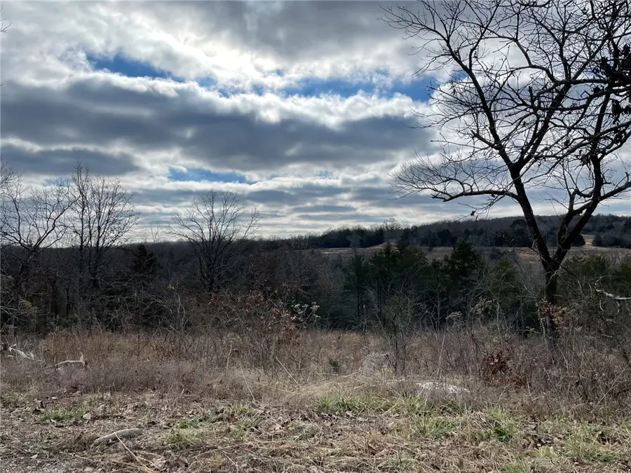 738 Wellington Parkway, Kirbyville, MO 65679 - #3