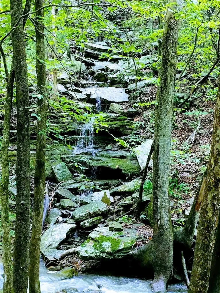 16902 Bethlehem Road, Winslow, AR 72959 - #2