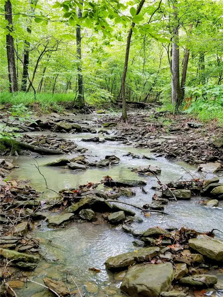 16902 Bethlehem Road, Winslow, AR 72959 - #3