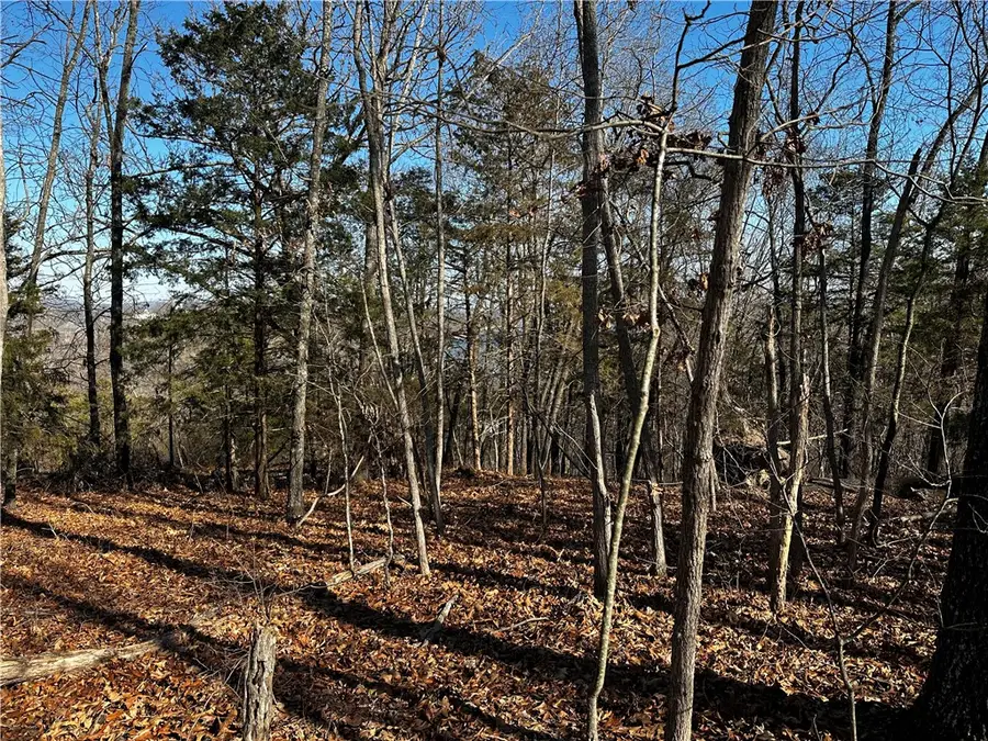 Lot 21 Anchor Drive, Rogers, AR 72756 - Image #3