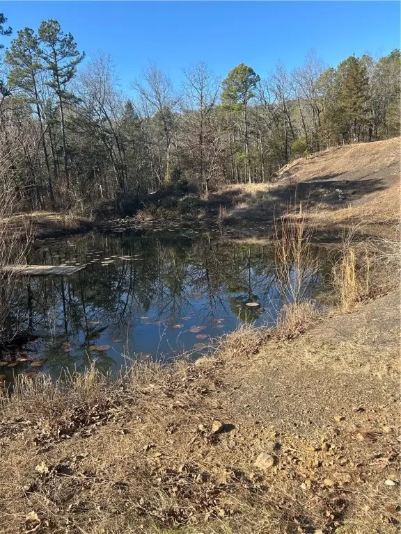 15486 Slo Fork Road, Dardanelle, AR 72834 - Image #2