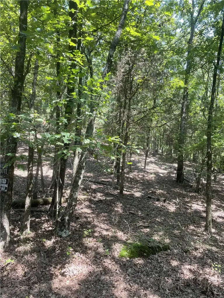 312 Cr 3222 Four Ac, Clarksville, AR 72830 - Image #2