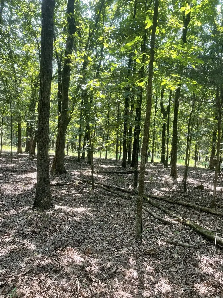 312 Cr 3222 Four Ac, Clarksville, AR 72830 - Image #3