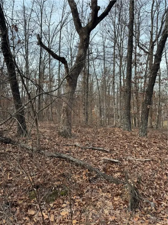 Faversham Lane, Bella Vista, AR 72714 - Image #3