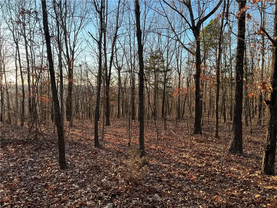 Prayer Mountain Drive, Harrison, AR 72601 - Image #2