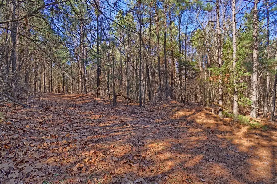 Cloud Mountain Road, Dover, AR 72837 - Image #3