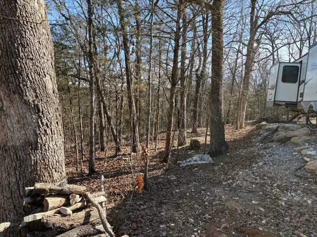 143 Mc 2073, Lead Hill, AR 72644 - Image #3