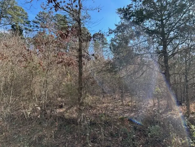 Moss Creek Road, Danville, AR 72833 - Image #3