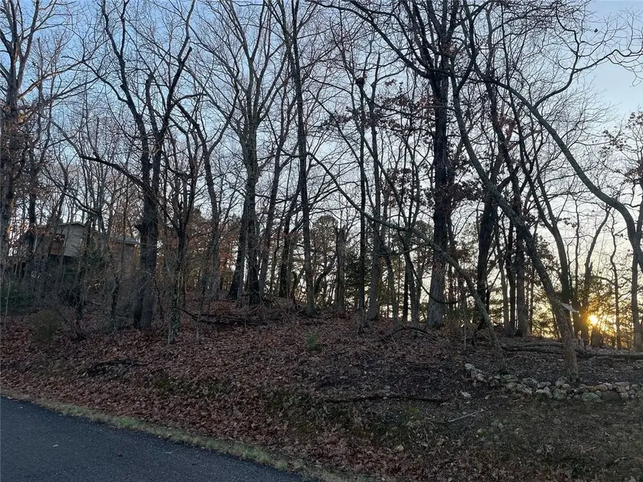 31 Burkimo Lane, Holiday Island, AR 72631 - Image #2