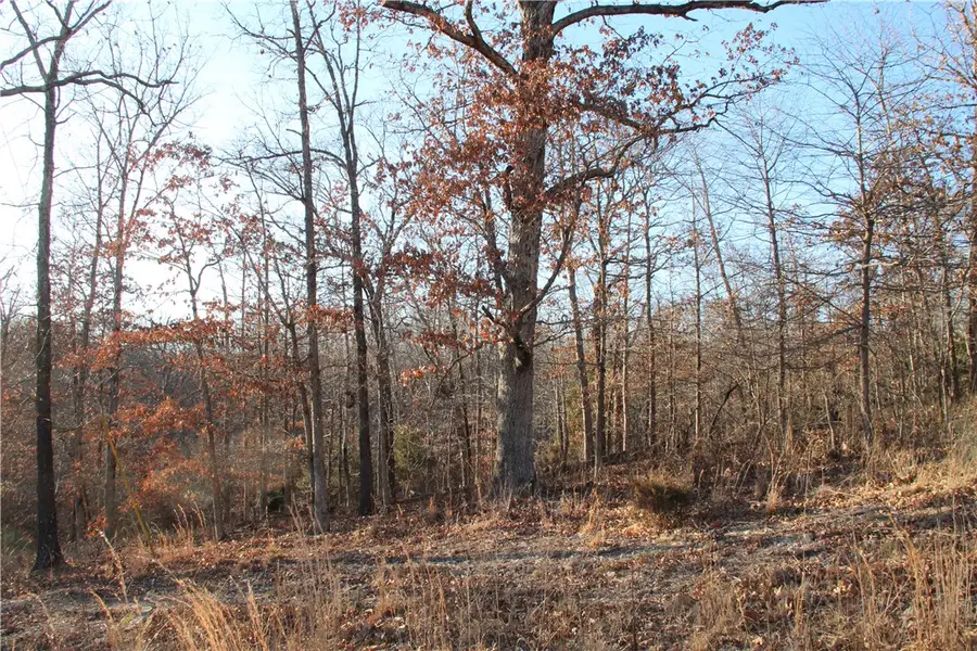 Lorn Lane, Bella Vista, AR 72715 - Image #3