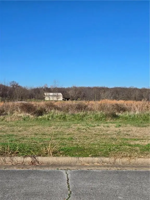 Holland Hills Estates Highfill Lot 25 & 26, Gentry, AR 72734 - Image #3