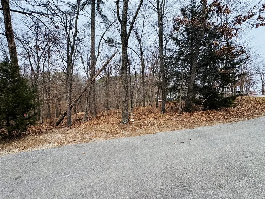 Romsey Lane, Bella Vista, AR 72714 - Image #3