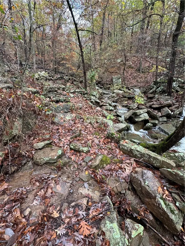 18995 Skylight Mountain Road, Canehill, AR 72717 - #3